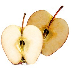 labreporter-apple-brown labreporter-apple-brown