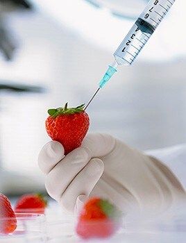 labreporter-strawberry labreporter-strawberry