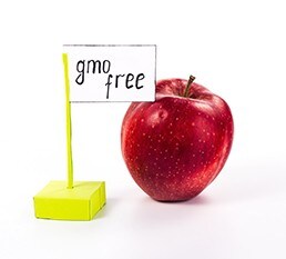 labreporter-gmo-free labreporter-gmo-free