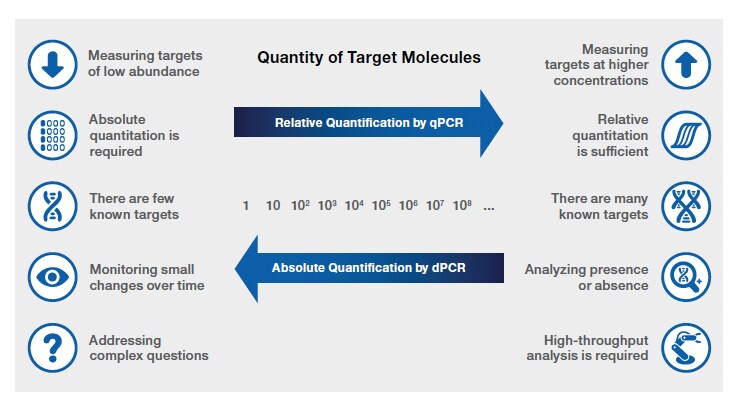 Quantity of Target Molecules Quantity of Target Molecules