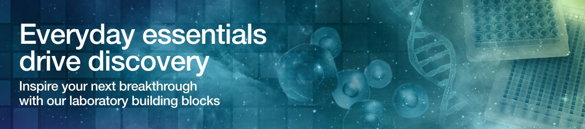 Everyday essentials drive discovery Everyday essentials drive discovery